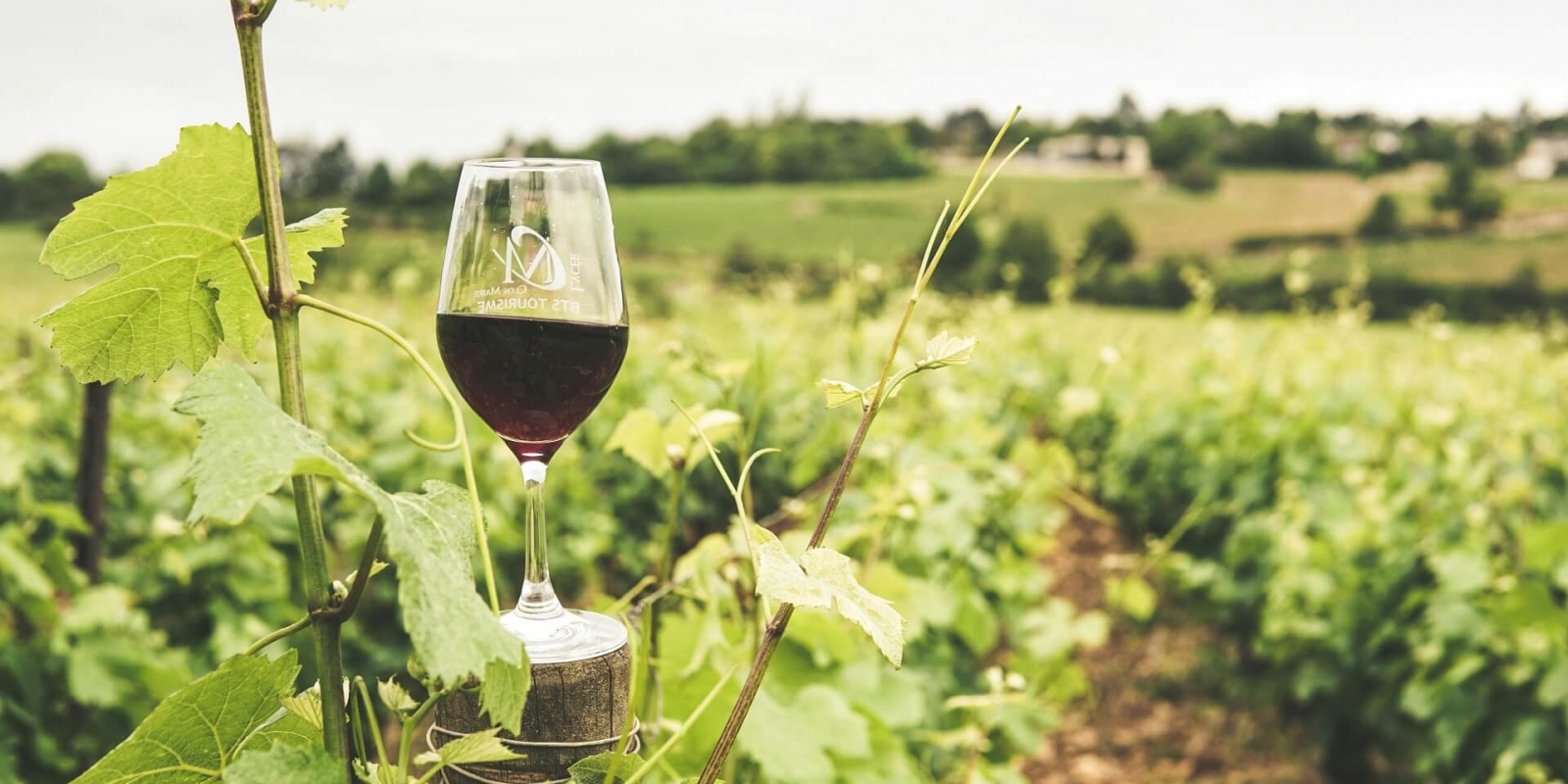 Top wineries in Crete – where wine tells the story of the land