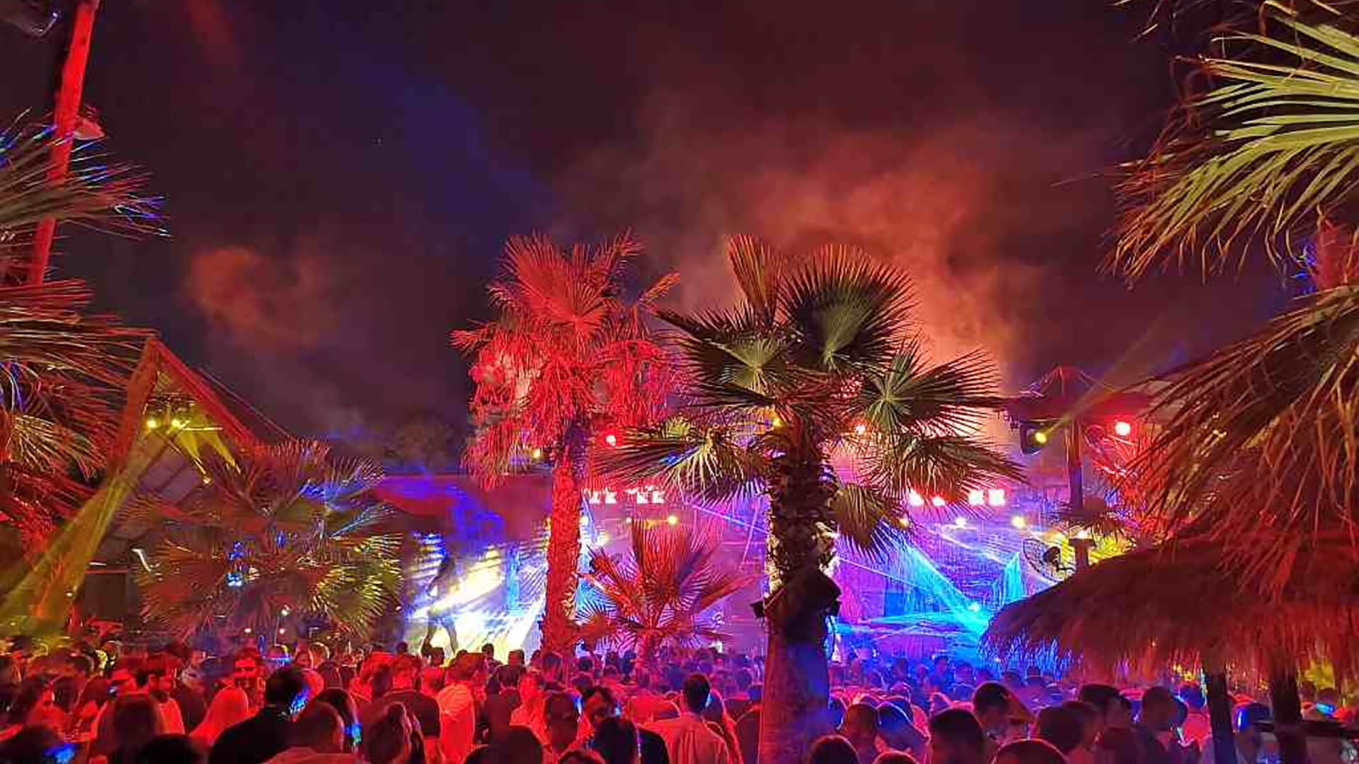 Night Life & Clubbing Tours